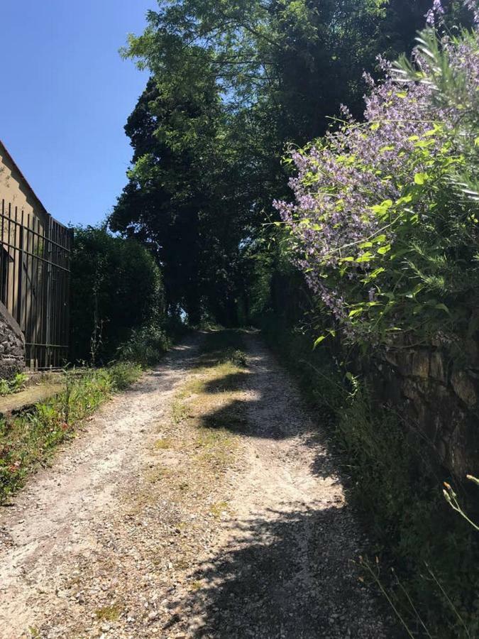 Antica Dimora Di Laura Διαμέρισμα Barberino di Mugello Εξωτερικό φωτογραφία