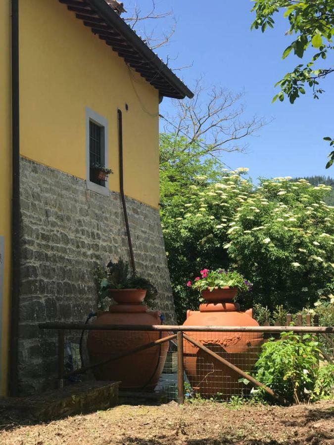 Antica Dimora Di Laura Διαμέρισμα Barberino di Mugello Εξωτερικό φωτογραφία