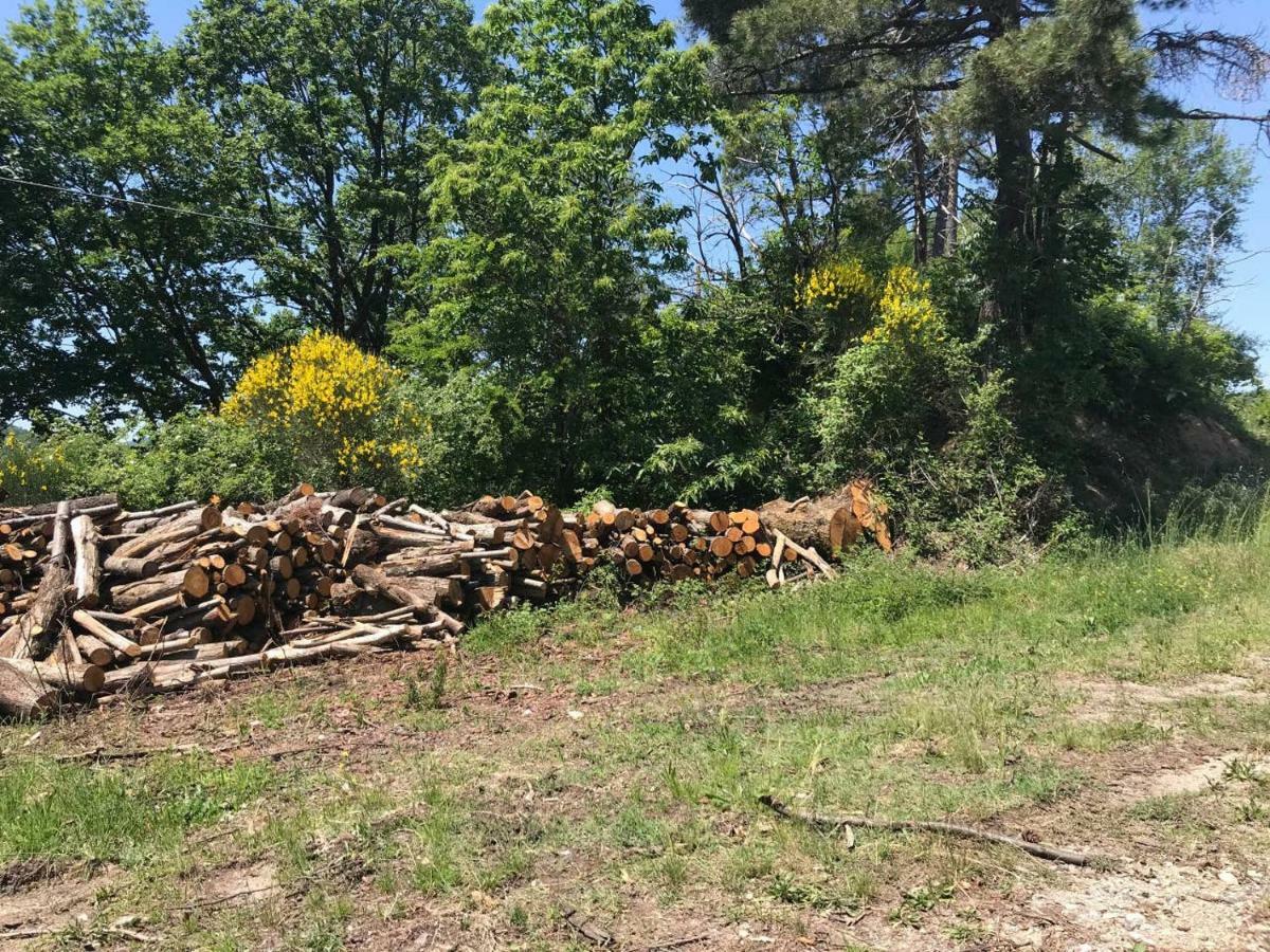 Antica Dimora Di Laura Διαμέρισμα Barberino di Mugello Εξωτερικό φωτογραφία