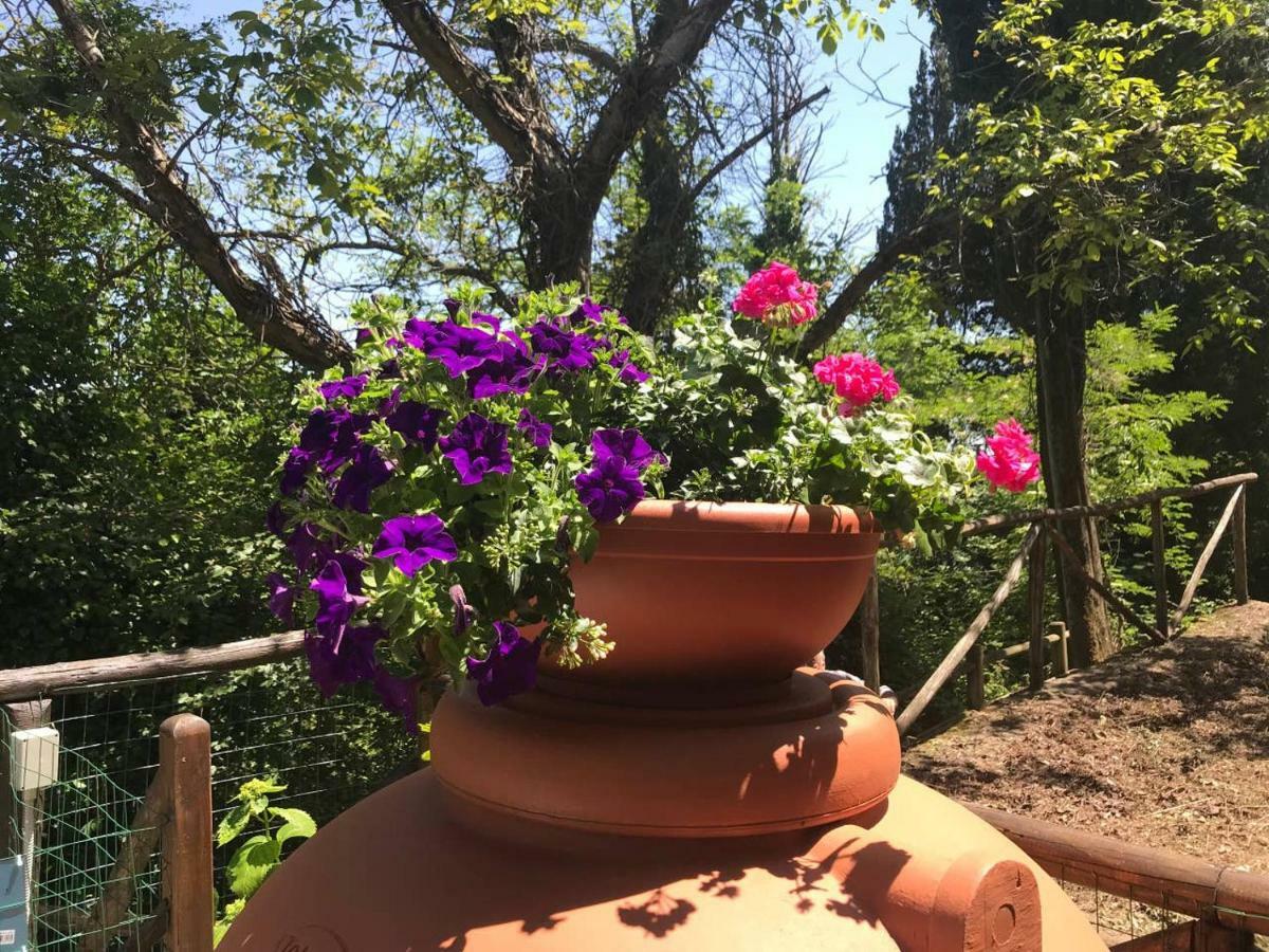 Antica Dimora Di Laura Διαμέρισμα Barberino di Mugello Εξωτερικό φωτογραφία