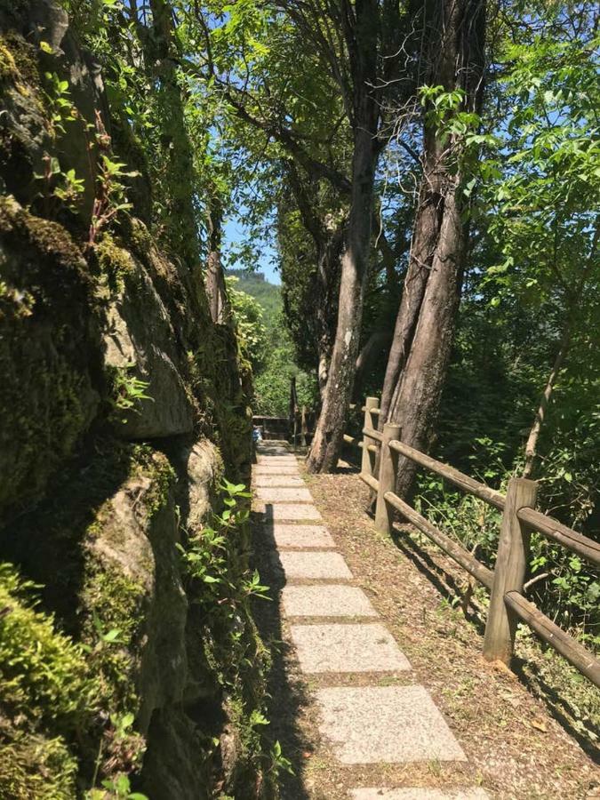 Antica Dimora Di Laura Διαμέρισμα Barberino di Mugello Εξωτερικό φωτογραφία