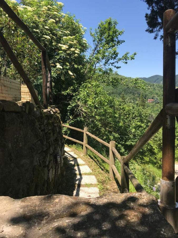 Antica Dimora Di Laura Διαμέρισμα Barberino di Mugello Εξωτερικό φωτογραφία