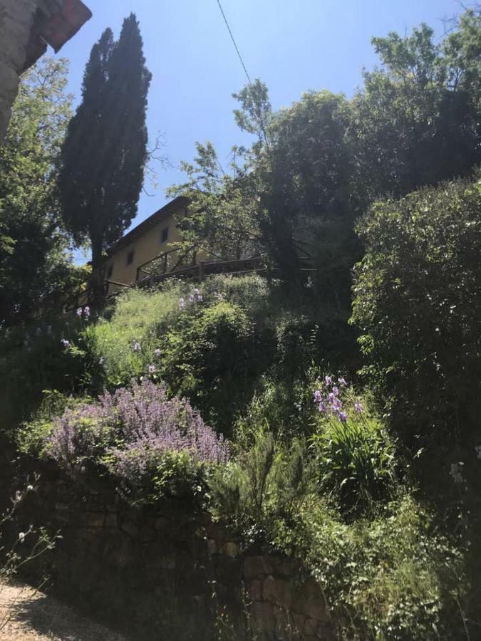 Antica Dimora Di Laura Διαμέρισμα Barberino di Mugello Εξωτερικό φωτογραφία